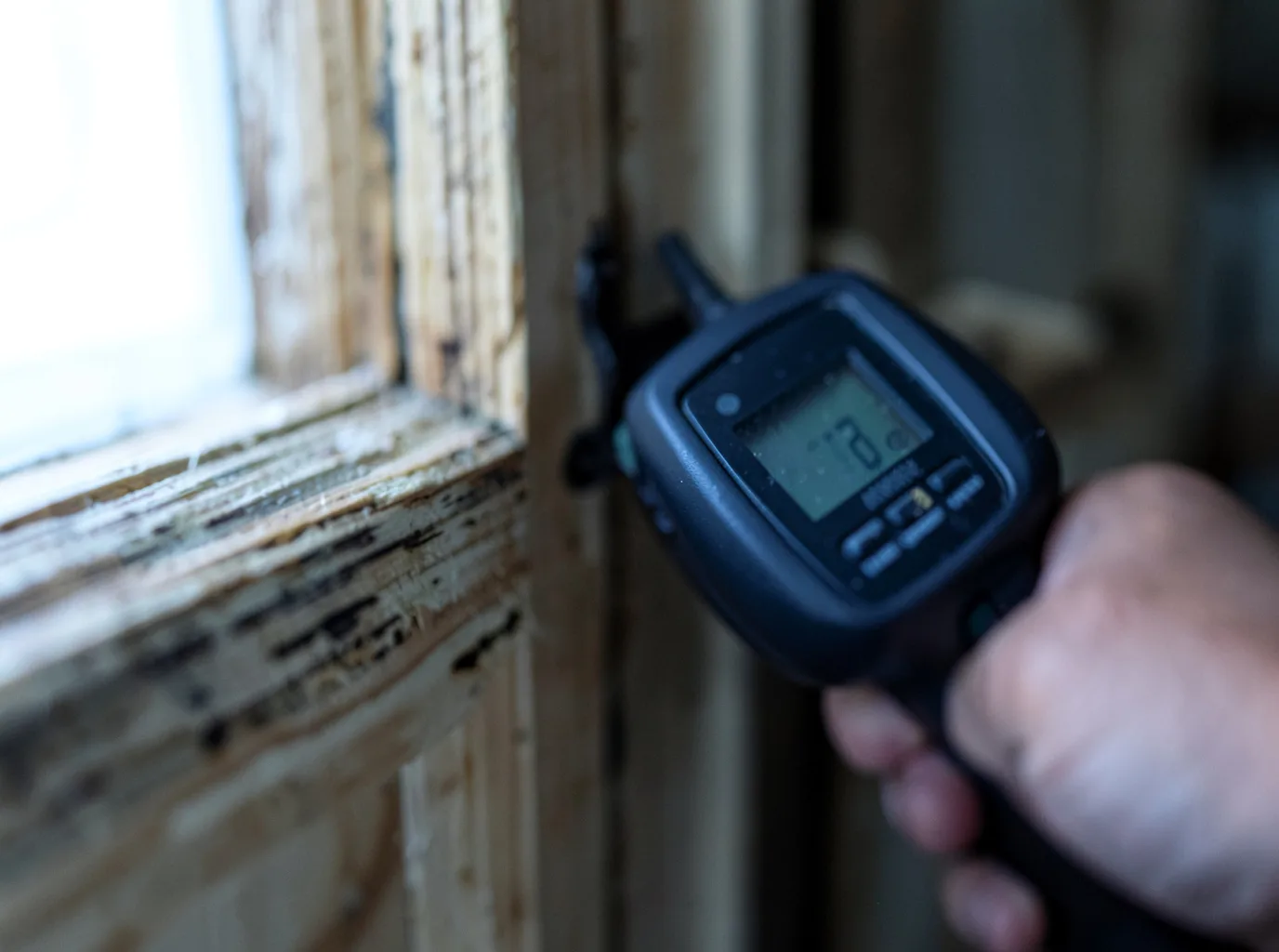 Moisture Inspection And Documentation in Silverton, CO